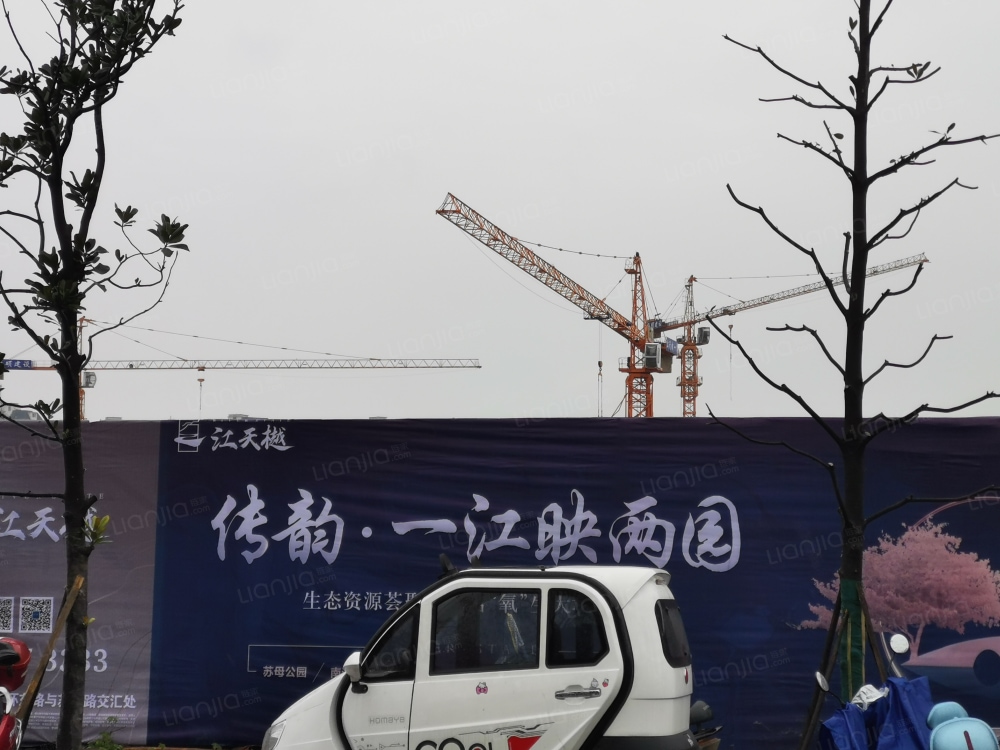 江天樾