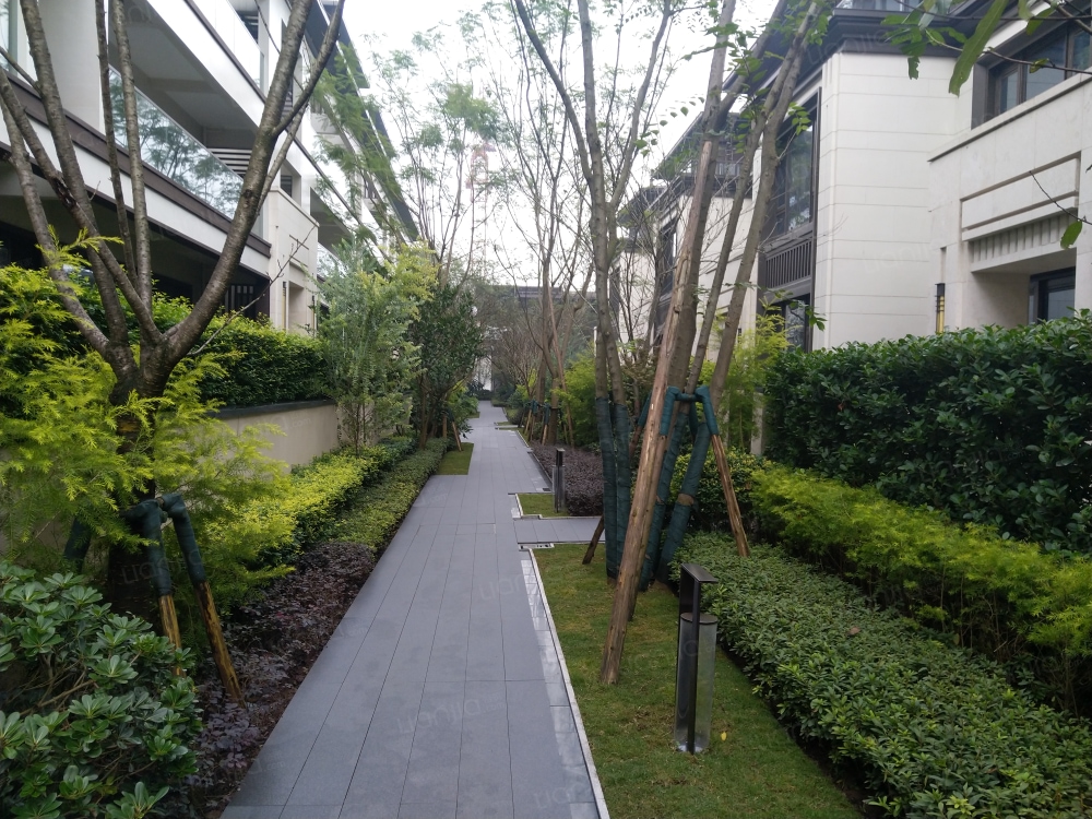 重庆新房 重庆楼盘 綦江楼盘 橙珲随园 橙珲随园相册上一分类效果图