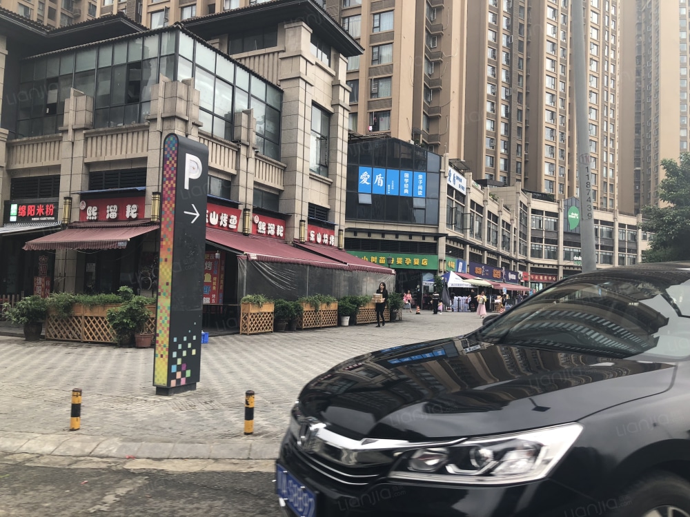 城投置地梧桐栖相册