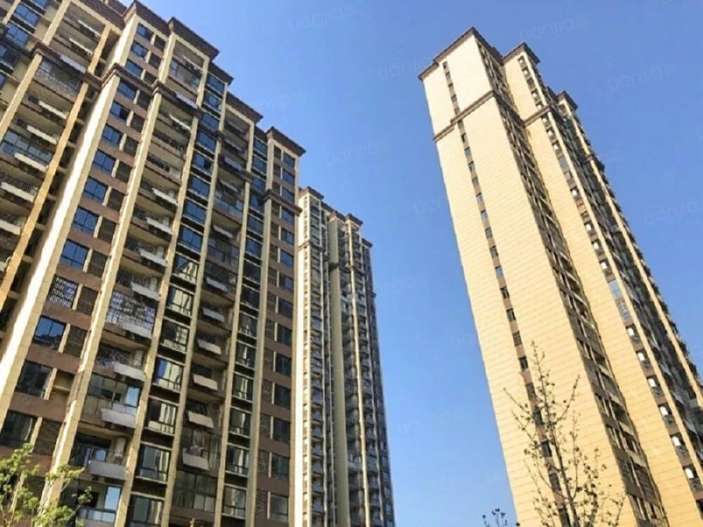 力高君御国际相册