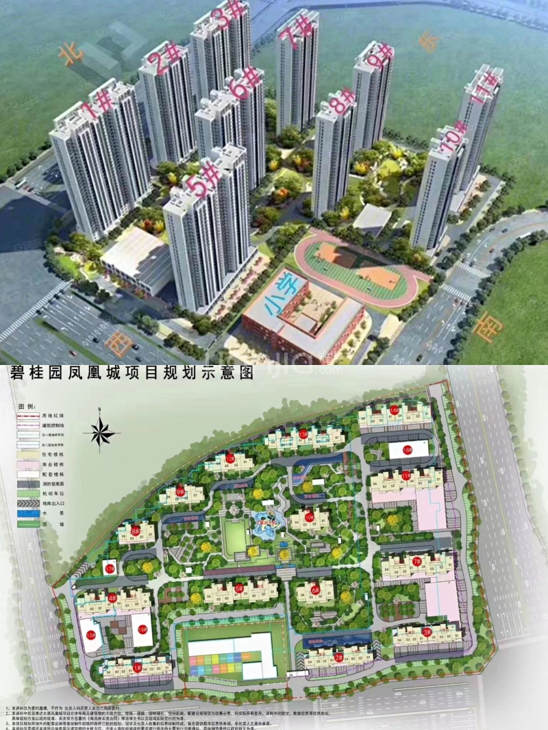 碧桂园凤凰城规划图图片
