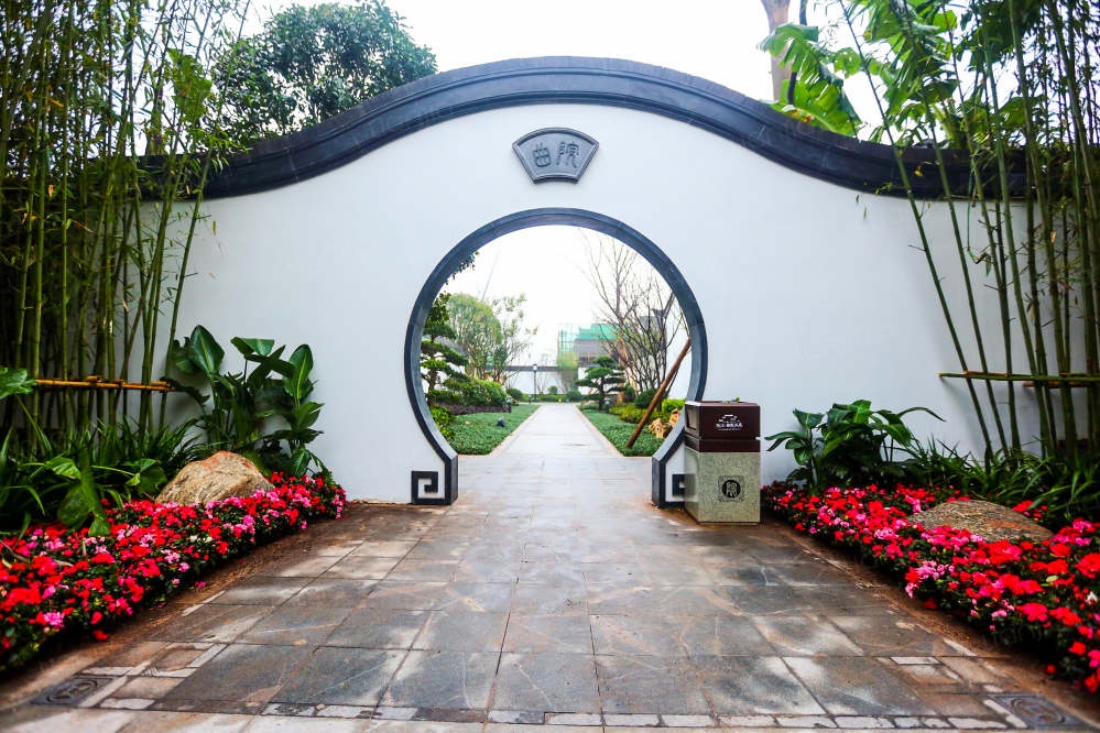 两江曲院风荷相册