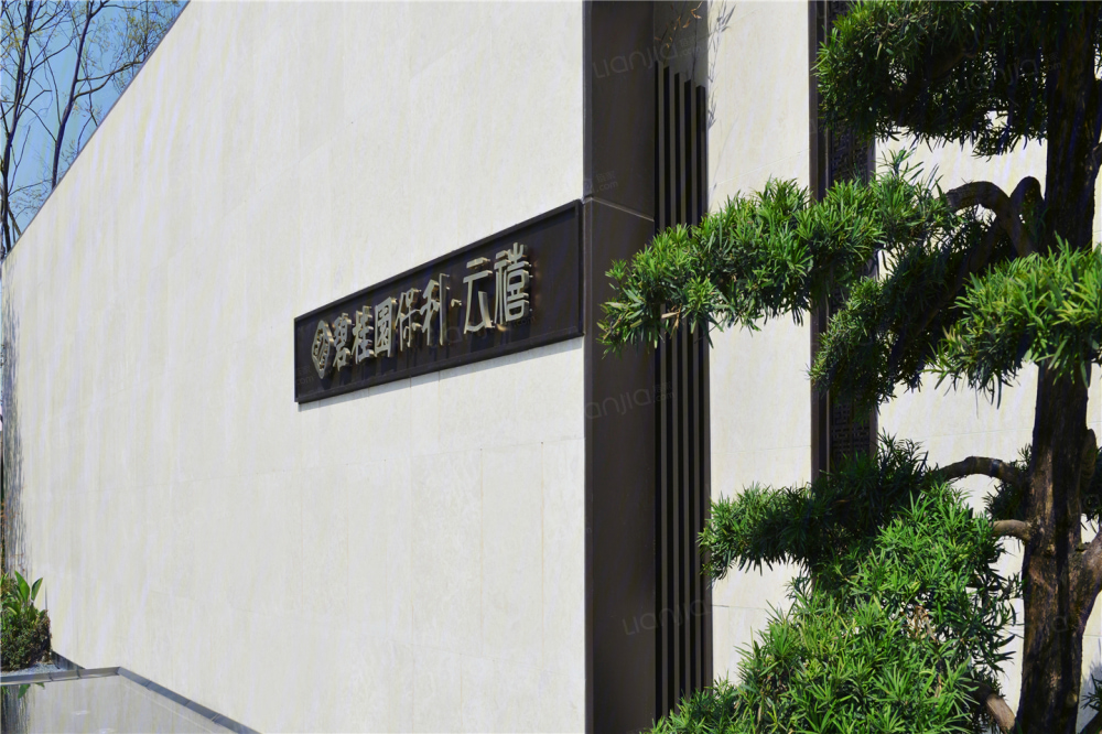 碧桂园保利云禧相册