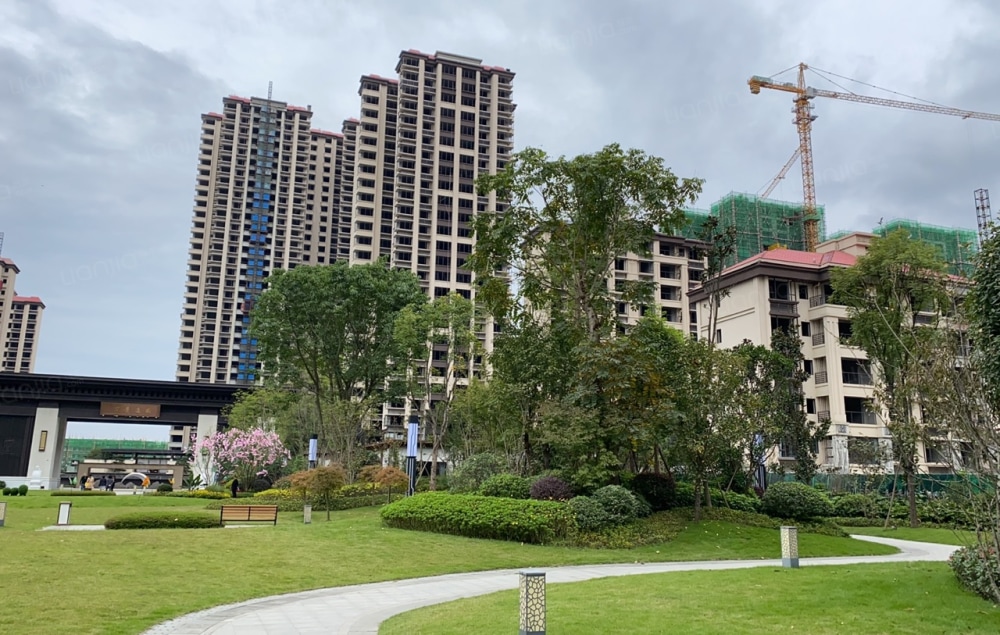 万景进园汇相册