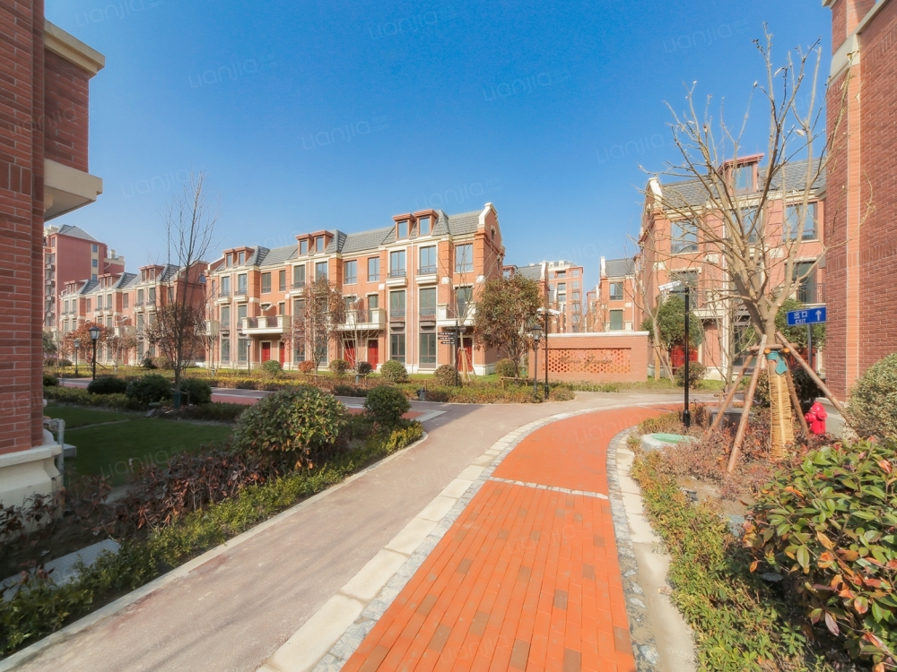 莫里斯花源相册