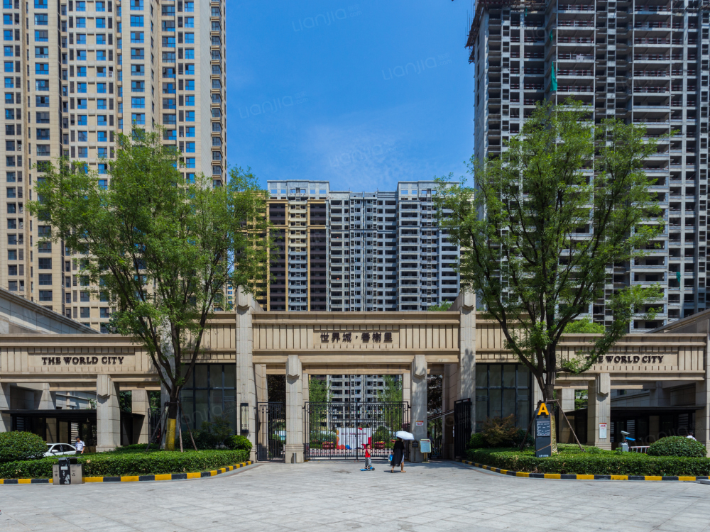 曲江千林郡相册