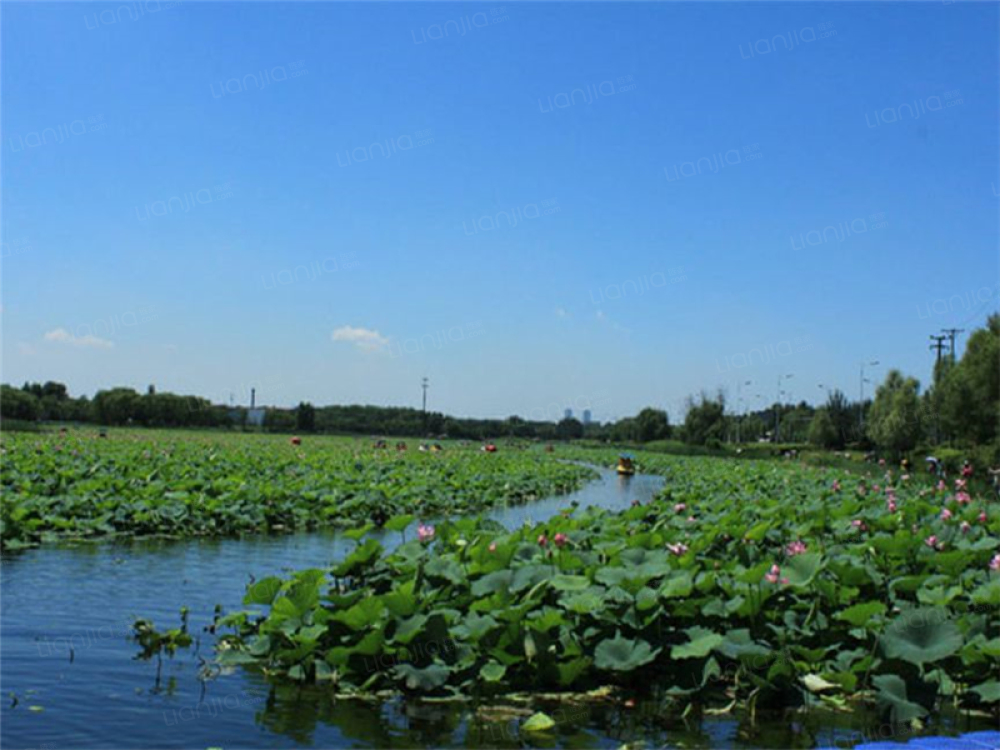 澳海白沙岛图片_澳海白沙岛实景图(沈阳链家新房)