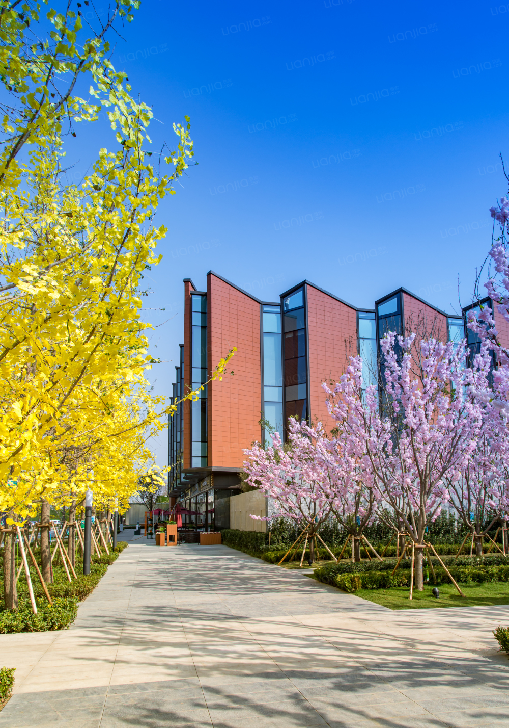 东原阅城图片_东原阅城实景图(郑州链家新房)