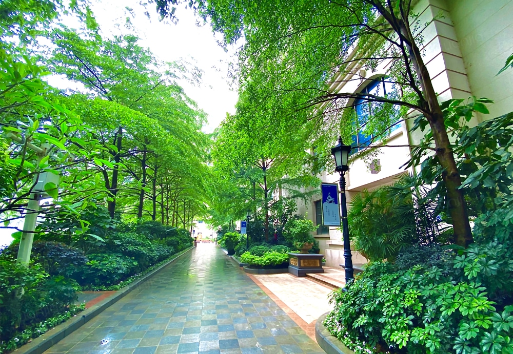 九龙湾花园实景图