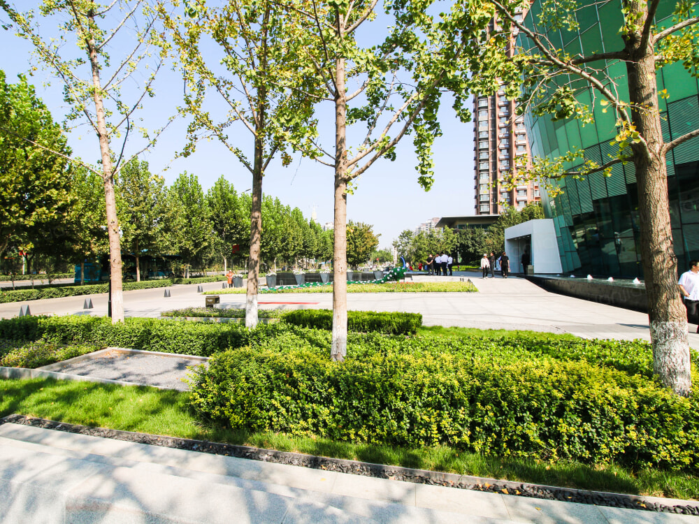 天鸿公园大道相册