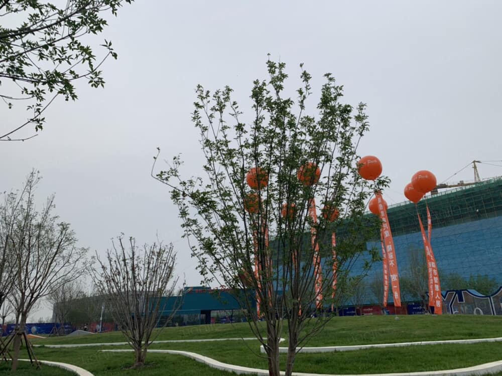 天津新房 天津楼盘 武清楼盘 碧桂园·云河park 碧桂园·云河park相册