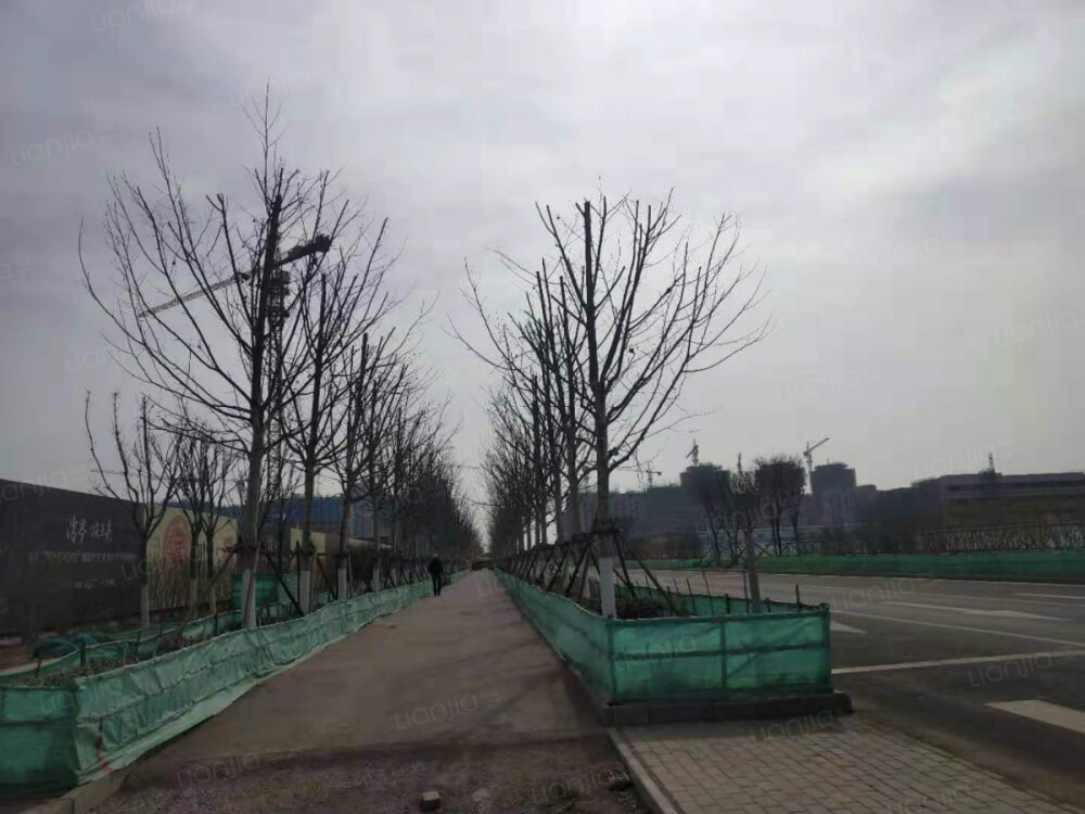 天津新房 天津楼盘 塘沽楼盘 宝德云湾 宝德云湾相册上一分类 下一