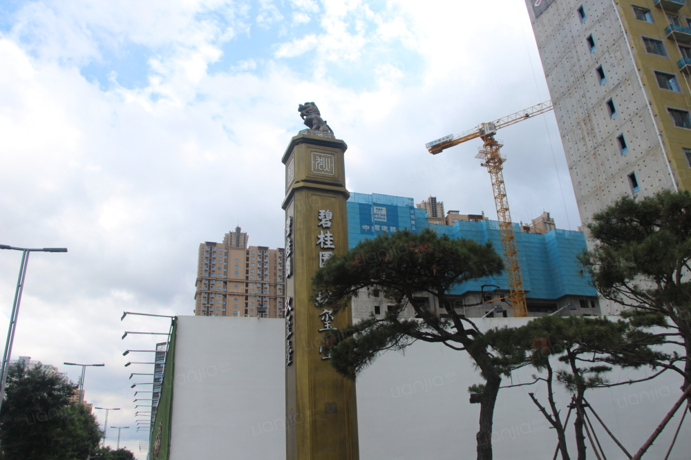 碧桂园玖玺台相册