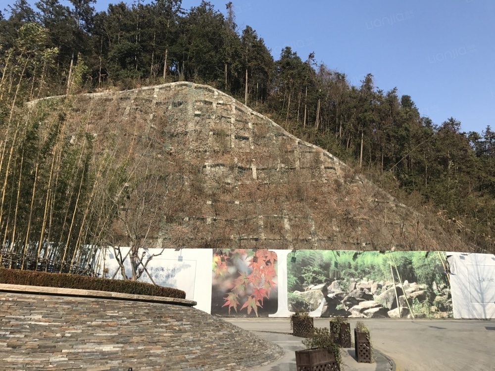 新湖金色池塘相册