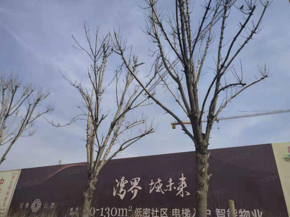 天津新房 天津楼盘 塘沽楼盘 宝德云湾 宝德云湾相册上一分类 下一