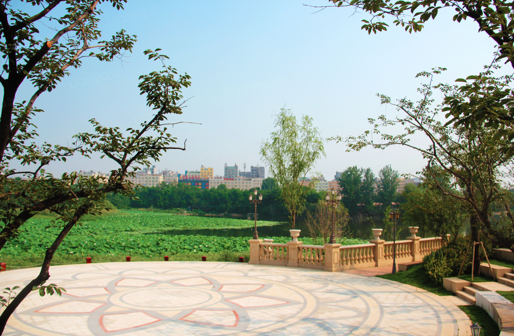 法兰原著半岛相册