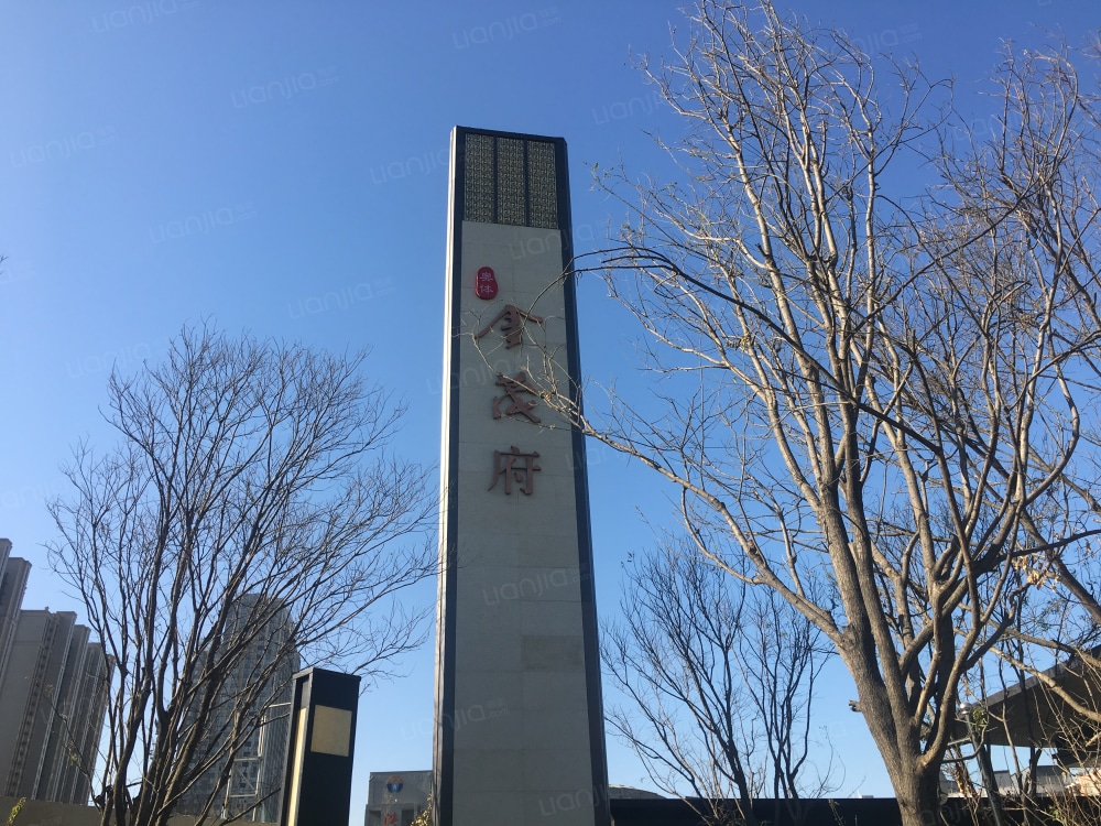 奥体金茂府相册