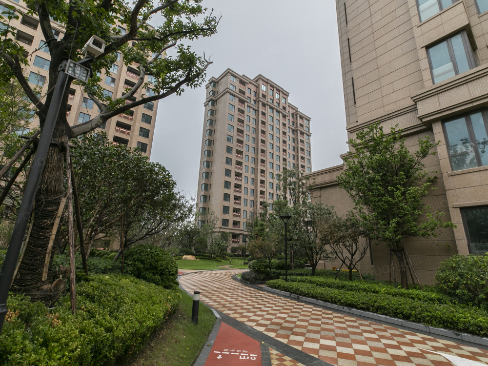 大名城紫金九号相册