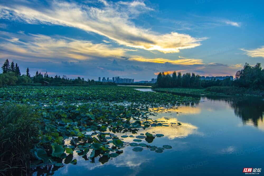 卓越洋湖晴翠相册