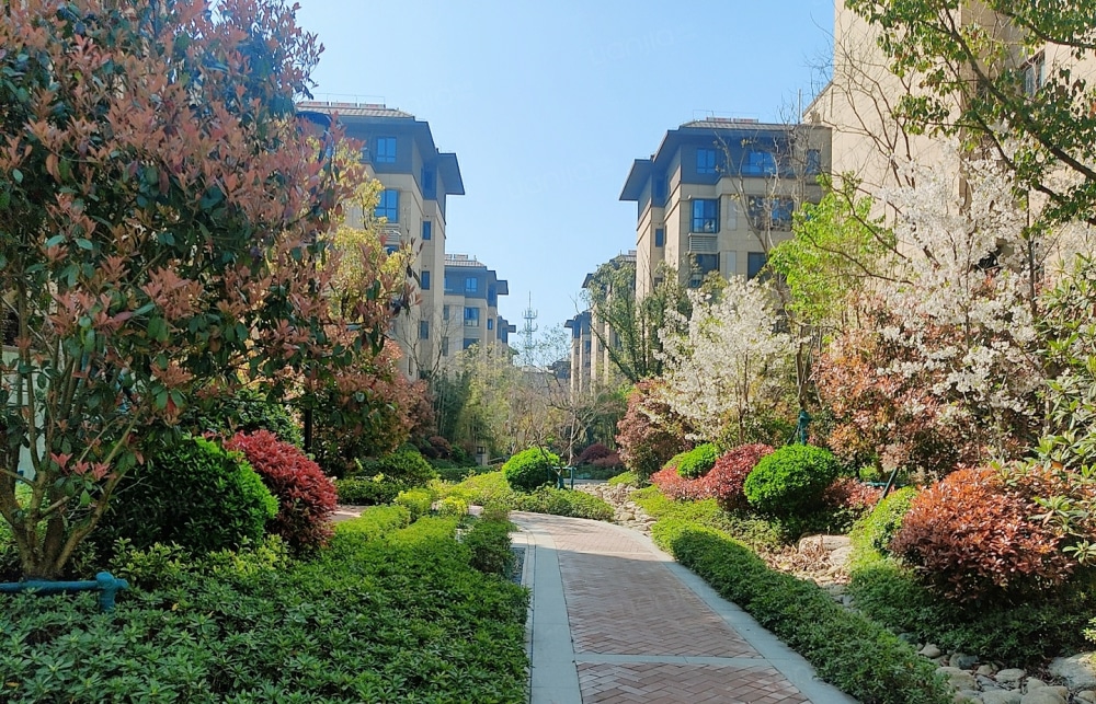 美的雍翠园相册