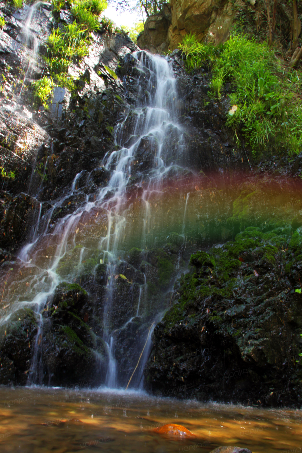 新湖金色池塘相册
