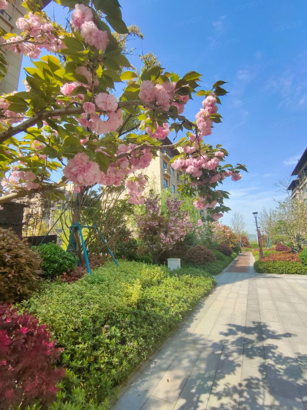 美的雍翠园相册