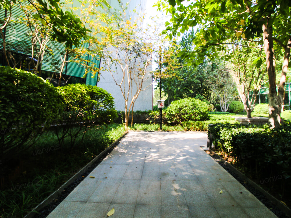 天鸿公园大道相册