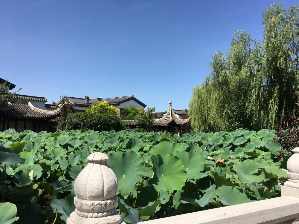 宝安江南城相册