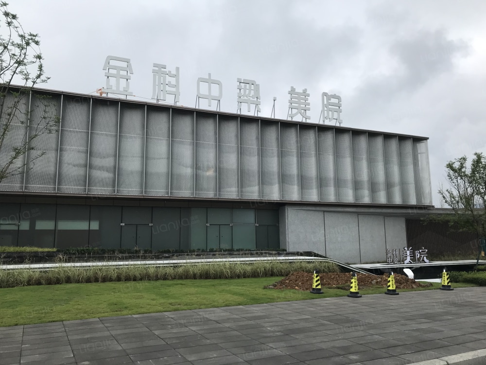 金科中梁美院图片_金科中梁美院实景图(成都链家新房)