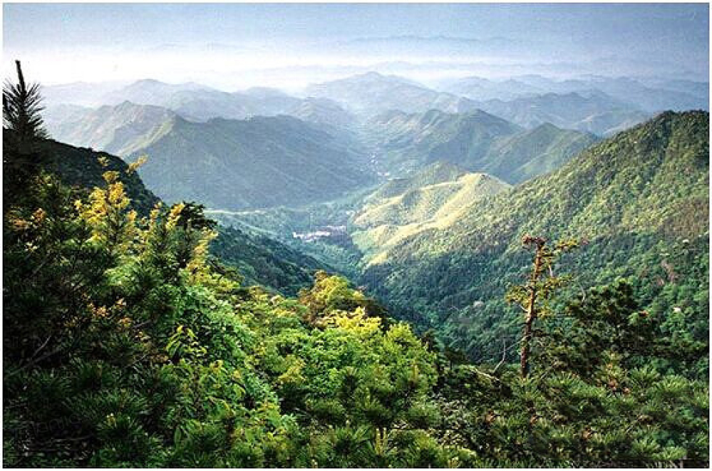 天目观山月小区配套