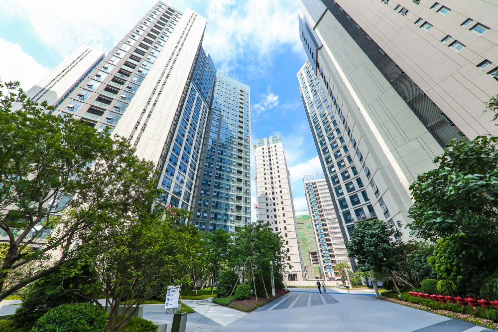 深圳新房 深圳楼盘 龙岗区楼盘 仁恒梦公园 仁恒梦公园相册上一分类