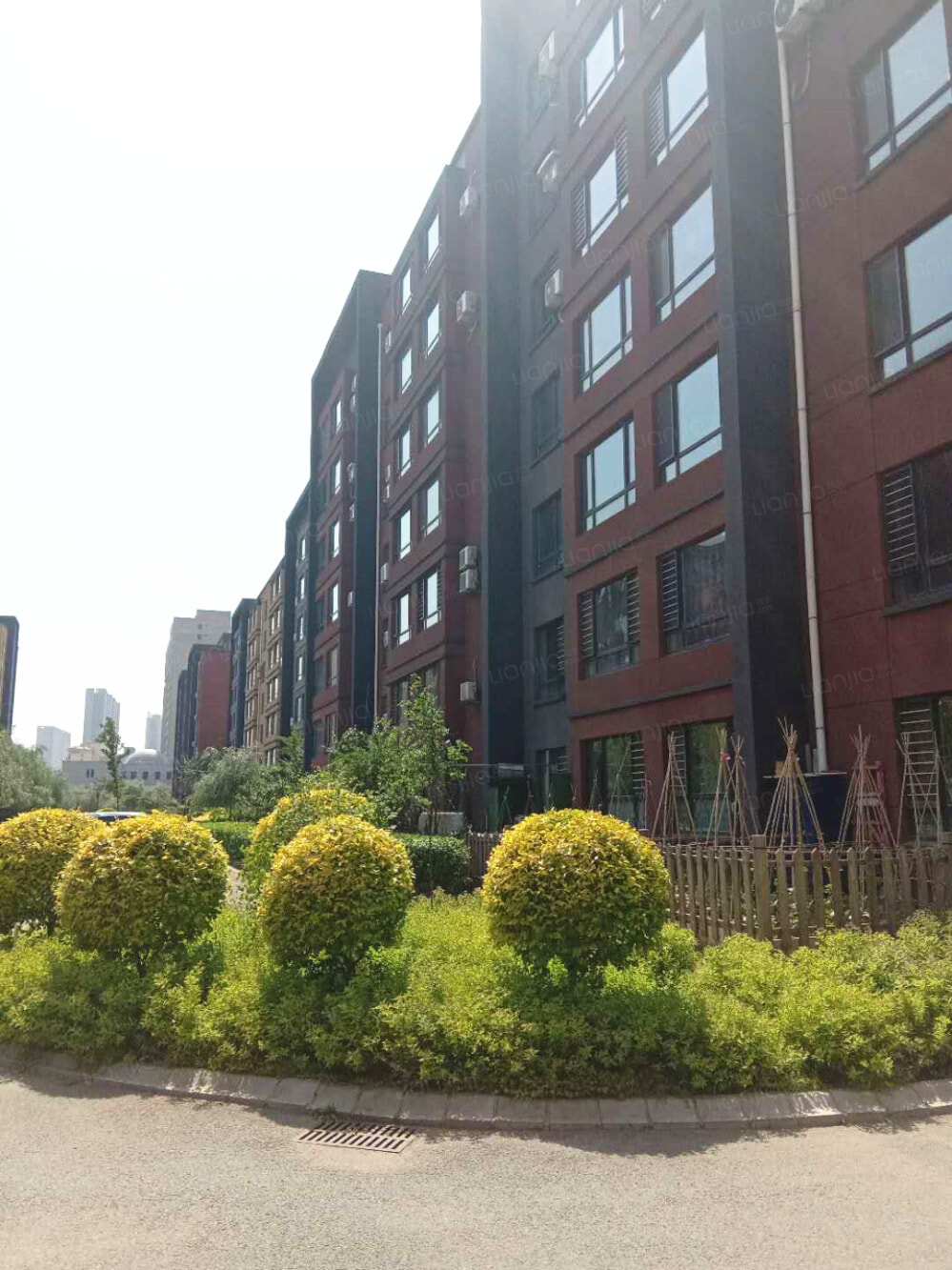 德商国际花园相册