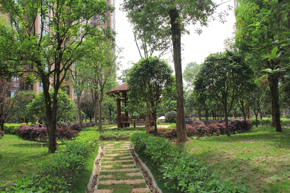 丽发新城实景图