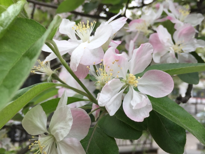 56平米_北京东城崇文门法华南里二手房(北京链家)