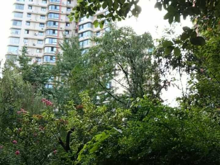 星辉西路8号 4室1厅 150.71平米