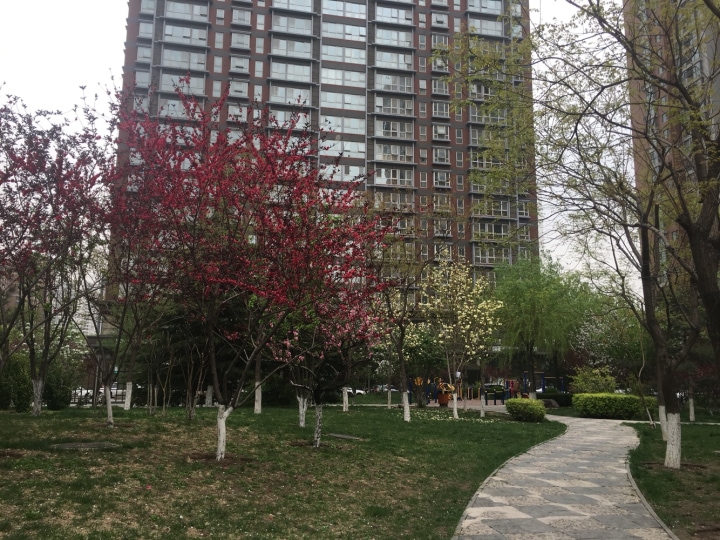 丽水莲花 2室1厅 100.2平米