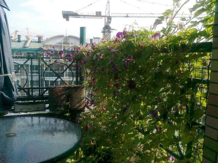 香林郡 3室2厅 136.66平米