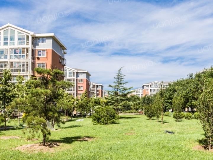 朝阳新城五区 3室1厅 118.98平米