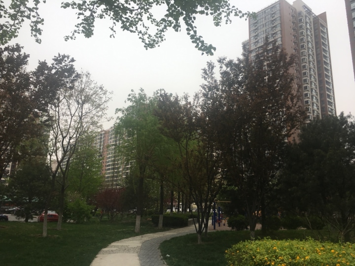 丽水莲花 2室1厅 100.2平米