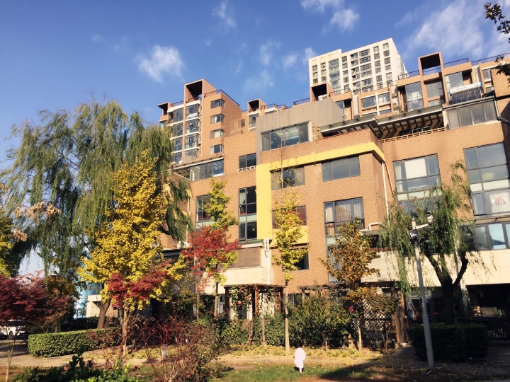 傲城官邸 天翠园低密度板楼 精装二居室