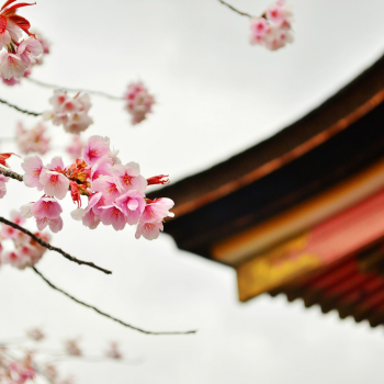 日本东京都房产 东京都买房 日本链家网 日本东京都房产 东京都买房 日本链家网