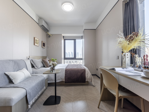 独栋·龙湖冠寓 合肥火车站店 精选阳光单间C 开间