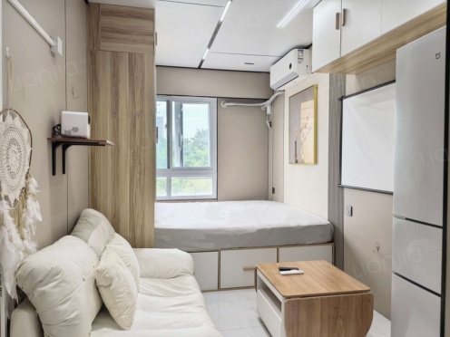 整租·天通苑东三区 1室1厅 西