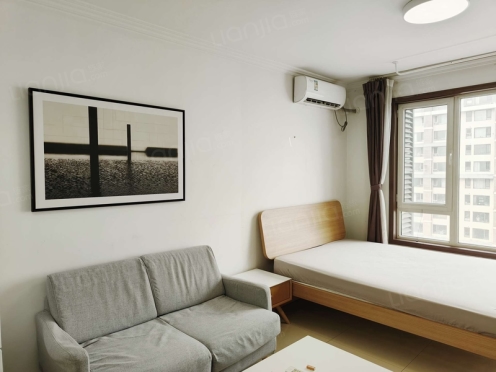 整租·东亚三环 1室1厅 北