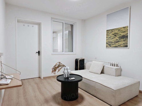 整租·亮甲店小区 2室1厅 东