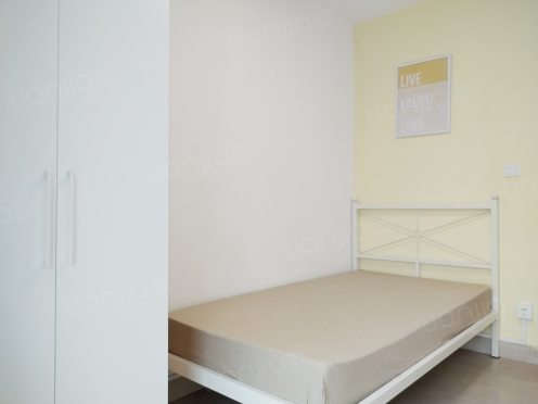 合租·蓝光富丽花城 4居室 南卧