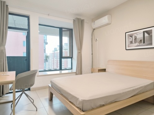 合租·紫东芯座 3居室 南卧