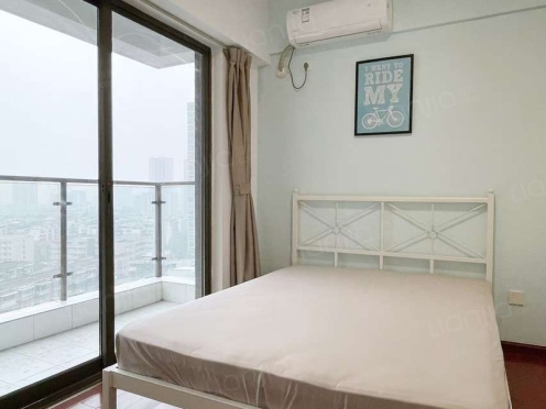 合租·西锦国际一期 3居室 东卧