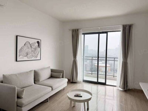 整租·和信派都 1室1厅 南