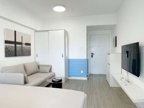 整租·新城市广场 1室1厅 北